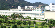 Giới thiệu công ty
